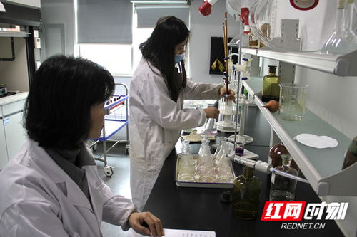 常德水文中心深化灌区水质监测，为水资源精细化管理注入新动能